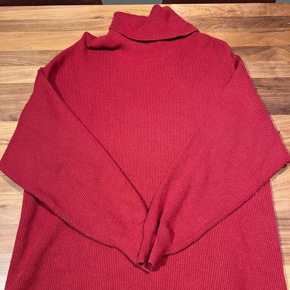 Turtleneck Tunic from Free People!